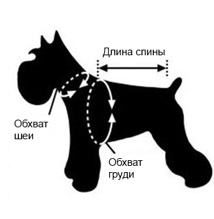 измерение собаки